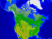 Amerika-Nord Vegetation 1600x1200